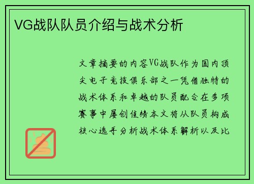 VG战队队员介绍与战术分析